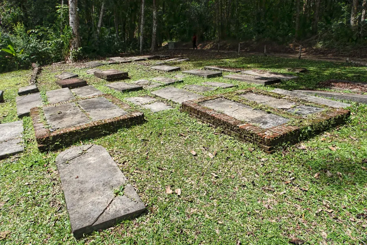 Lápidas sefardíes desgastadas en el cementerio judío de Jodensavanne, en Surinam, entre los árboles.